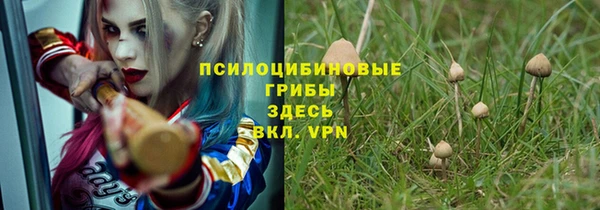 марки lsd Абаза