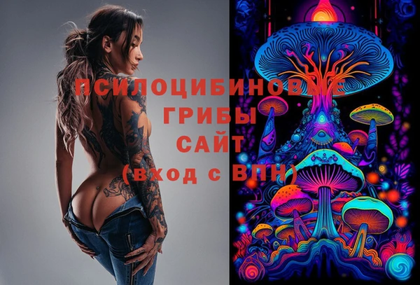 ешки Абинск