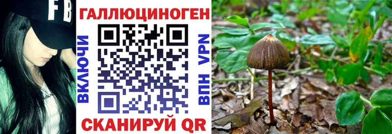 Галлюциногенные грибы мицелий  Краснодар 